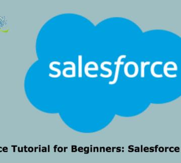 Salesforce Tutorial for Beginners: Salesforce editions